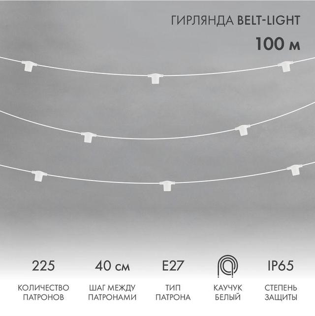 Гирлянда "Белт Лайт" 2жил. шаг 40см патроны под винт E27 1320Вт IP65 влагостойкая (уп.100м) Neon-Night 331-232